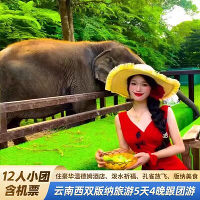 西双版纳5天精品小团
