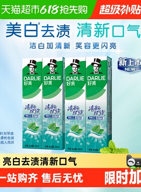 DARLIE好来(原黑人)牙膏清新双效200g*4支套装大容量清新口气