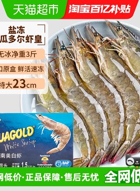 大黄鲜森厄瓜多尔大虾鲜活上岸
