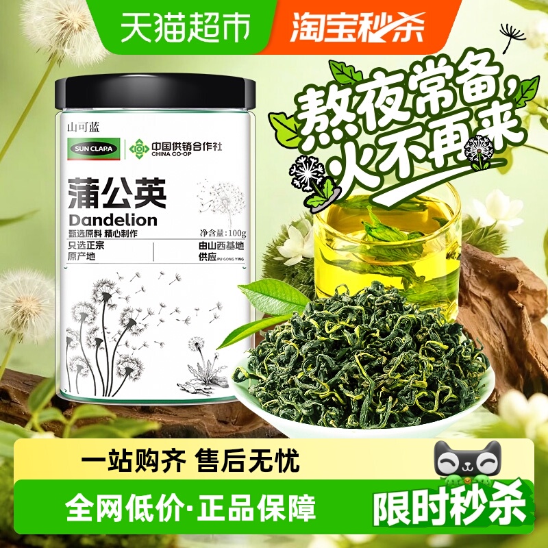 蒲公英新鲜头茬干净免洗