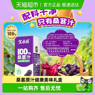 宝桑园100%NFC纯桑葚汁200ml 12盒不加水不加糖送礼佳品