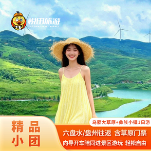贵州乌蒙大草原彝族小镇一日游 2-8人纯玩团含门票六盘水包车旅游