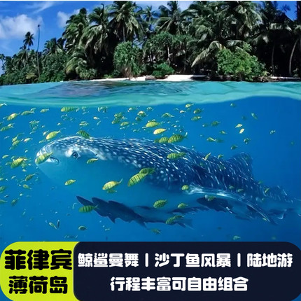 菲律宾薄荷岛鲸鲨曼舞+沙丁鱼风暴+陆地游巧克力山眼镜猴一日游