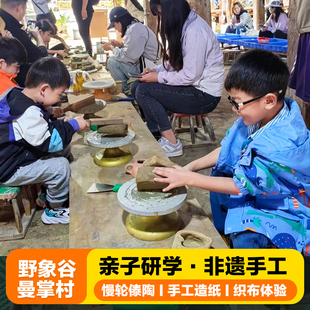 【私家独立小团】野象谷+曼掌纯玩一日游市区酒店接送|灵活走位