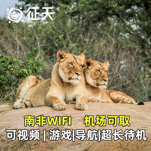 不限流量 谷歌地图 机场可取