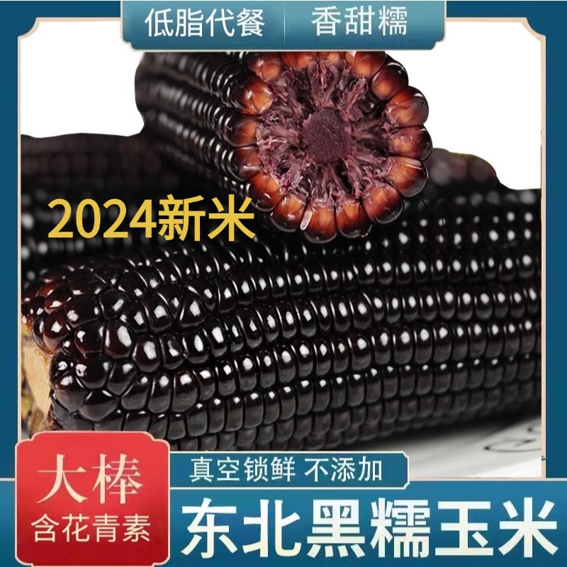黑糯玉米东北黑玉米真空装2024新鲜即食甜糯低脂大棒苞米当季新货