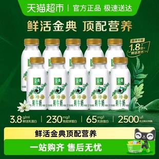 伊利金典巴氏杀菌低温鲜牛奶营养早餐纯牛奶生牛乳 下拉领优惠