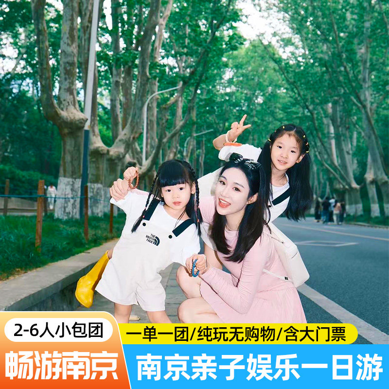 2-6人小团 南京一日游含门票境内跟团游
