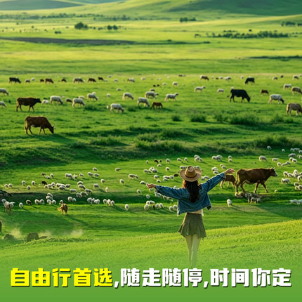 纯玩自由行定制内蒙古呼伦贝尔大草原旅游包车带司机额尔古纳漠河