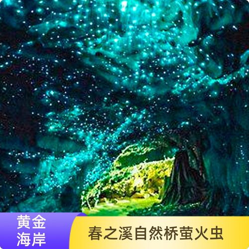 黄金海岸萤火虫一日游