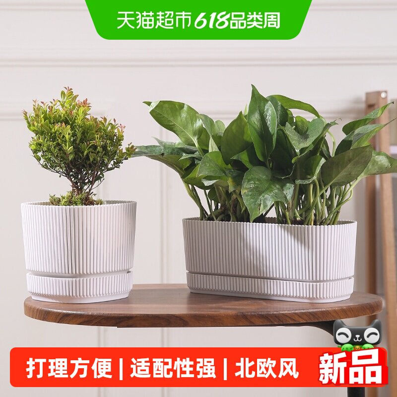 北欧简约带底盘花盆家用加厚耐用多肉绿植小盆栽花盆直筒种植盆
