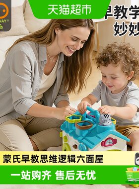 谷雨六面玩具屋双语启蒙因果关系