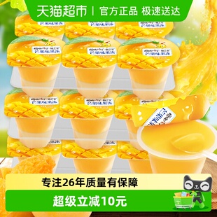 18杯儿童生日聚餐送礼零食礼物 樱桃小丸子芒果味果冻100g