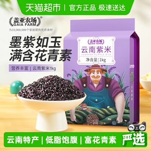 盖亚农场紫米新米面包棒原料五谷杂粮墨江产区紫米血糯米黑糯饭团