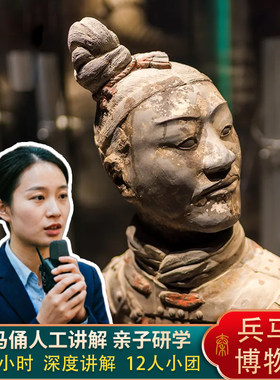 兵马俑丽山园人工讲解