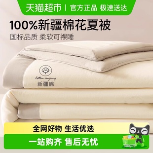 A类新疆棉花夏被空调被夏凉被薄款 单人宿舍双人床被芯机洗 被夏季