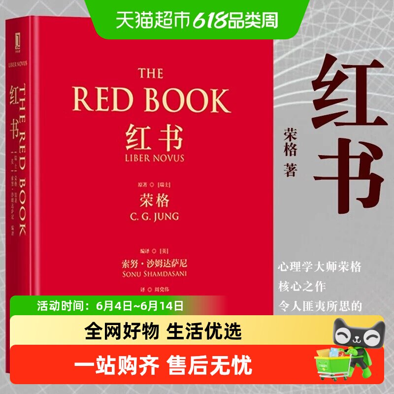 红书心理学大师荣格经典著作周党伟译理解心理学不得不读的一本书