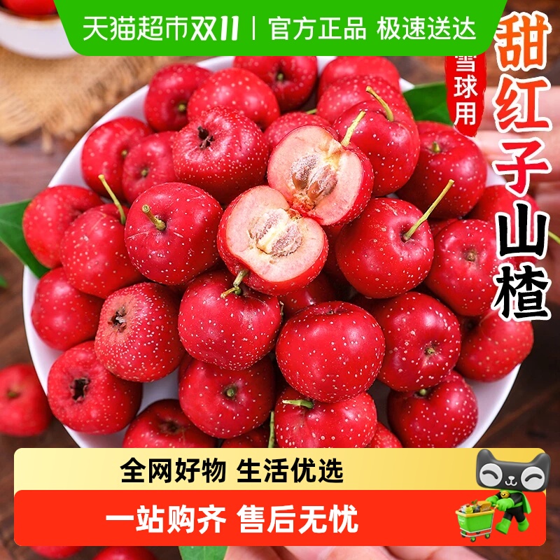 山楂鲜果新鲜孕妇水果大五菱现摘山里红小果甜红子野生小山楂