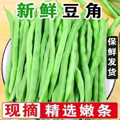 产地批发新鲜四季豆豆角新鲜蔬菜青豆超市食堂采购整箱批发