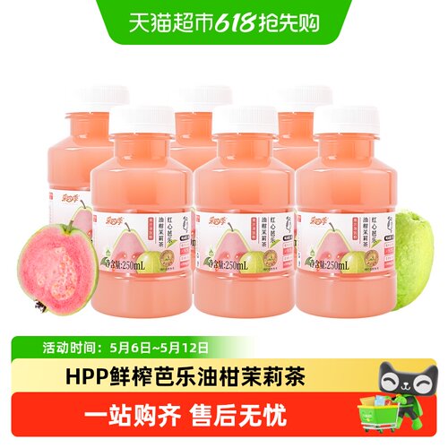 维果清HPP红心芭乐油柑茉莉花茶