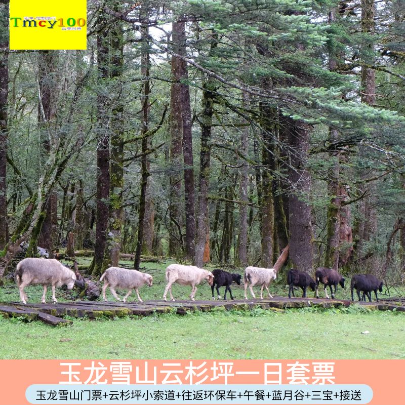 [玉龙雪山-大门票+云杉坪索道国内票务