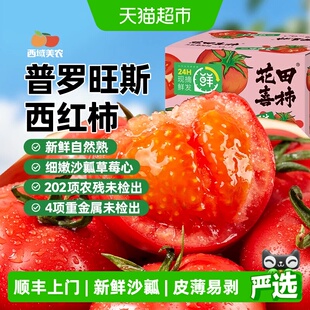 顺丰上门西域美农普罗旺斯西红柿沙瓤番茄水果西红柿新鲜水果蔬菜
