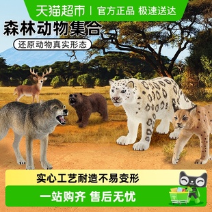 思乐schleich仿真动物模型野生森林系列男孩儿童玩具蜘蛛蜥蜴灰熊