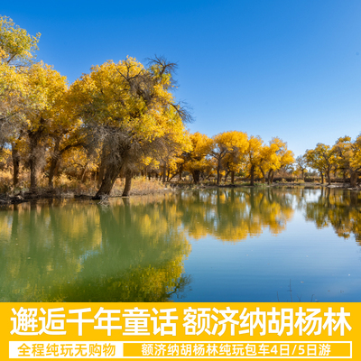 额济纳旗四日/五日包车游/宁夏银川阿拉善左旗额济纳旗包车游
