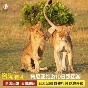 暑期动物大迁徙|全国出发肯尼亚旅游10天马赛马拉长颈鹿庄园赤道