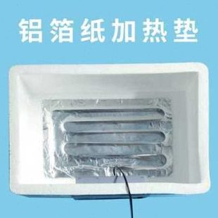 厂销家用型鸡鸭鹅受精蛋小型孵化器全自动控温50枚鹌鹑品 厂促新款