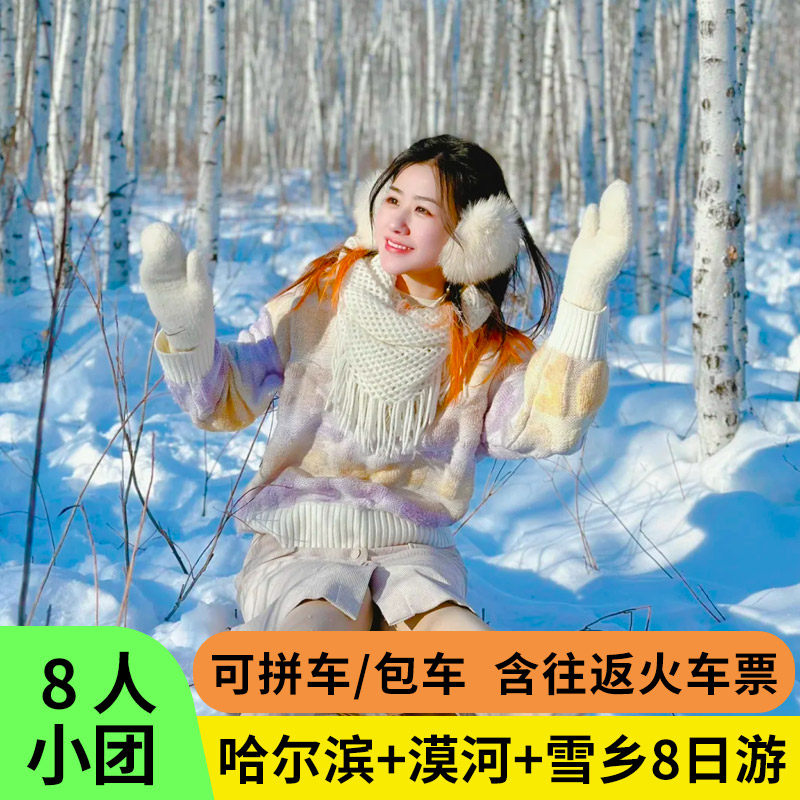 2—6人团哈尔滨旅游漠河雪乡冰雪大世界8天7晚包车拼车跟团旅游