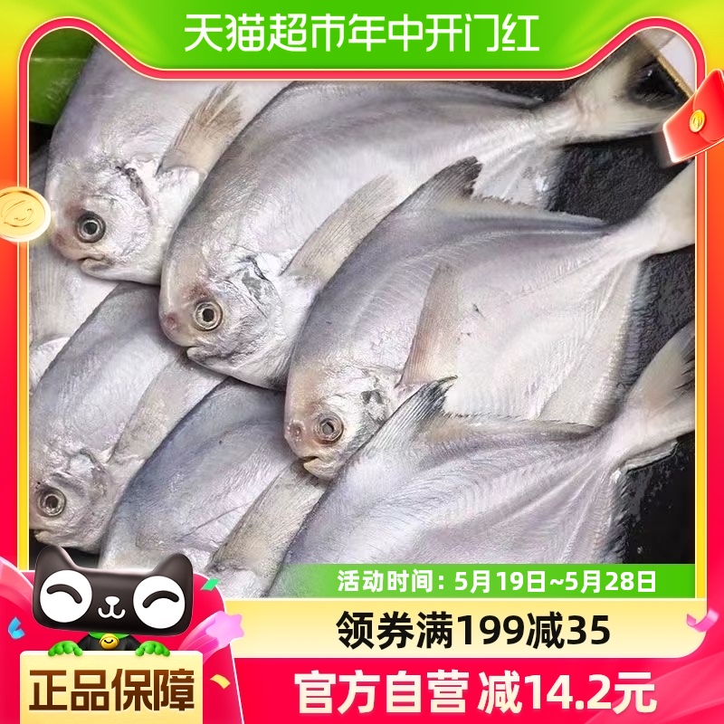 闽峡深海新鲜冷冻白鲳鱼1kg×1袋