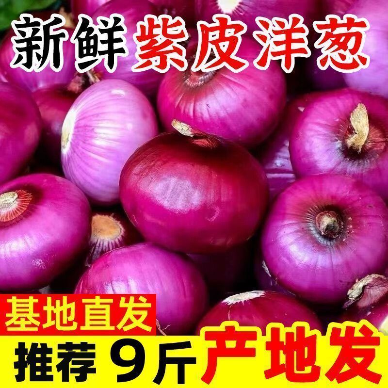 正宗紫皮洋葱新鲜水果生吃甜圆葱洋葱头当季农家蔬菜整箱包邮