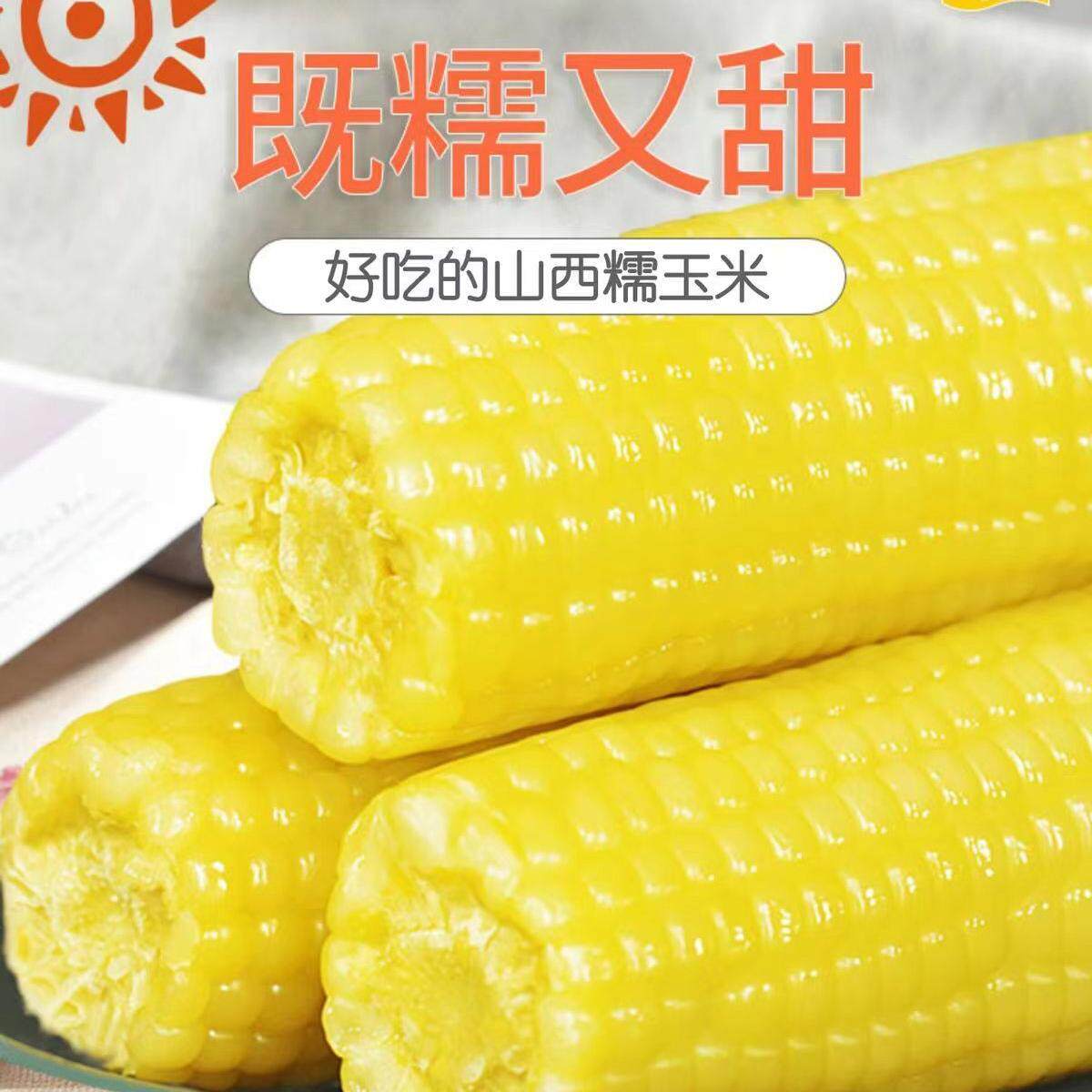 黄糯玉米新鲜真空包装彩袋甜黏玉米加热即食山西早餐黄粘玉米