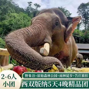 【2-6人小团】西双版纳5天4晚野象谷森林公园星光夜市云南旅游