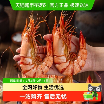 北海印象九节虾干