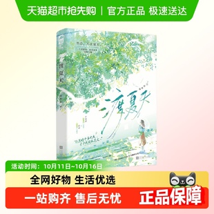 书籍 青春热恋治愈现代言情小说正版 渡夏天 甜野豹著暗恋成真