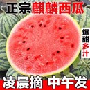 正宗麒麟西瓜當季 新鮮水果8424美都西瓜現(xiàn)摘薄皮手撕西瓜整箱西瓜