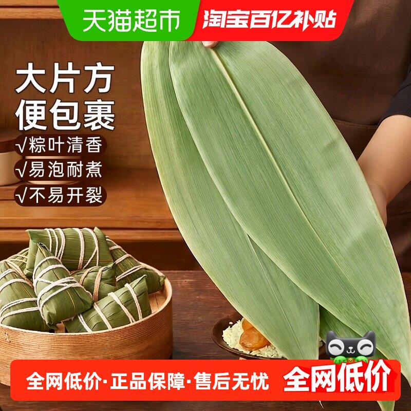 展艺粽子叶尺寸大韧性好易弯曲图片