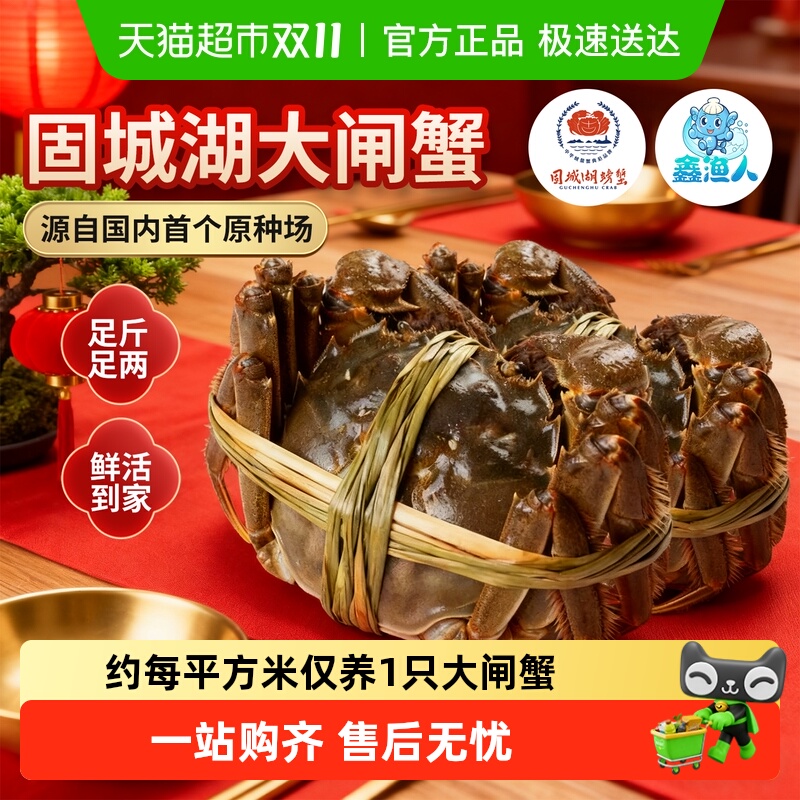 鑫渔人固城湖大闸蟹全母蟹精品蟹