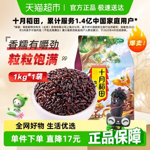 十月稻田五常血糯米东北