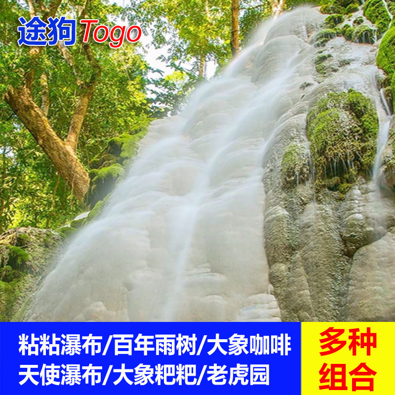 【品质日游】清迈粘粘瀑布一日游天使瀑布粑粑纸公园水中百年雨树