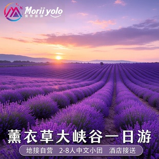 南法普罗旺斯薰衣草1日游2-8人中文小团瓦朗索勒阿维尼翁尼斯马赛
