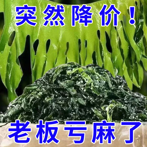 盐渍裙带菜新鲜商用批发大连特产海带凉拌海藻专用火锅食材非干货