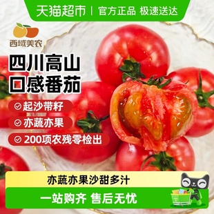 四川高山口感番茄西红柿沙瓤新鲜水果自然熟 下拉详情有优惠