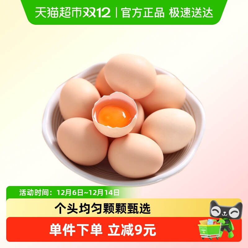 我老家鲜鸡蛋45g×20个