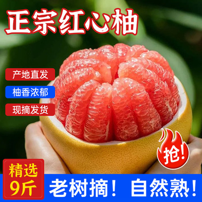 2025正宗福建平和红心柚子红肉蜜柚水果新鲜当季整箱白心蜜柚青柚