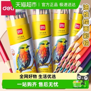 得力彩铅笔小学生专用油性彩色铅笔一年级美术生画画彩笔油性画笔