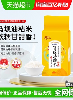 舶元韶关地标油粘米1kg*1袋丝苗米一级晶莹洁白粒纤长米香浓郁