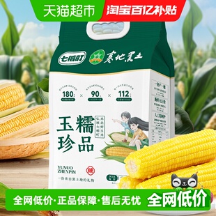 代餐低脂 七稻町黄糯玉米东北甜糯玉米棒香甜软糯玉米大棒真空包装